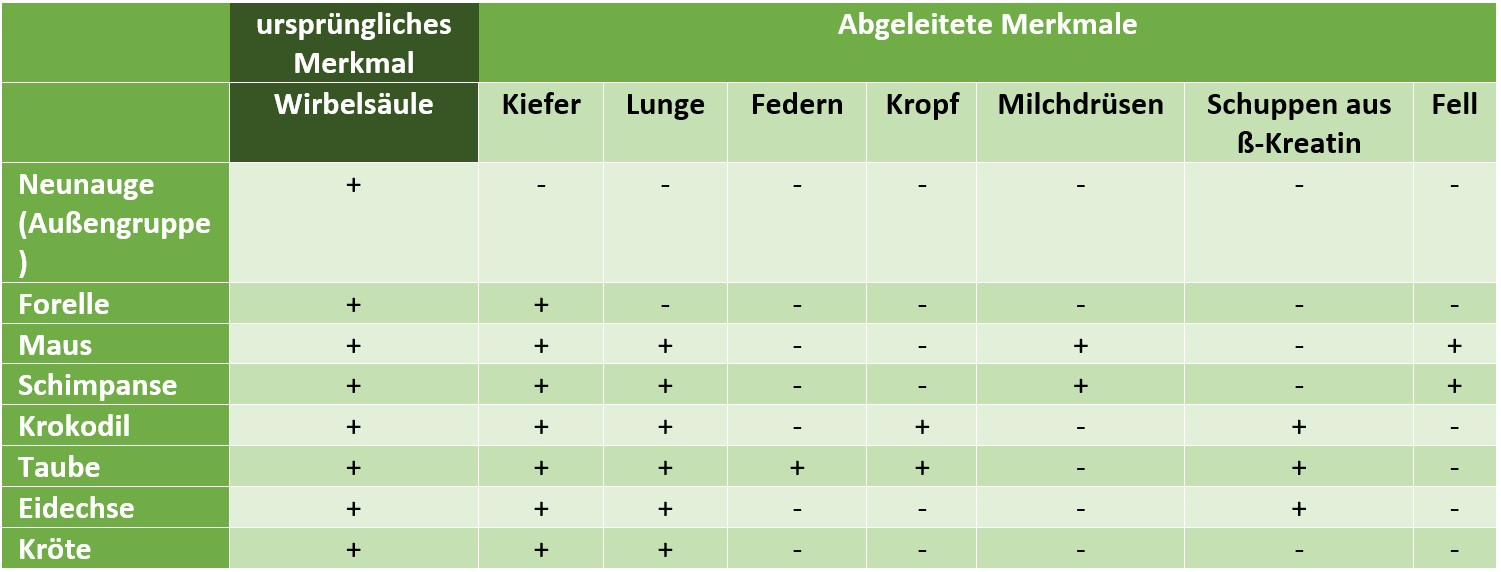 Merkmalstabelle fehlt