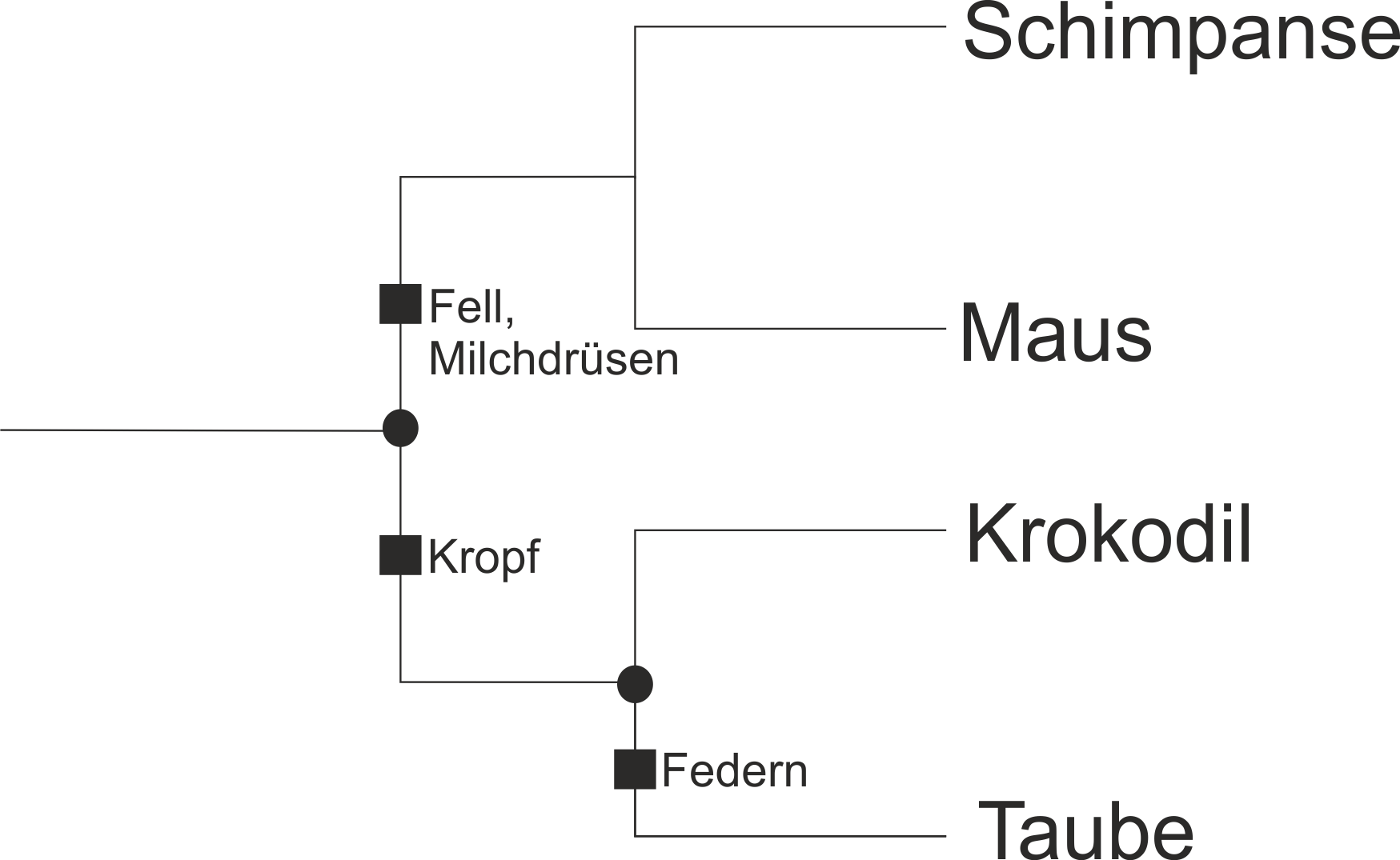 Stammbaum4Arten fehlt