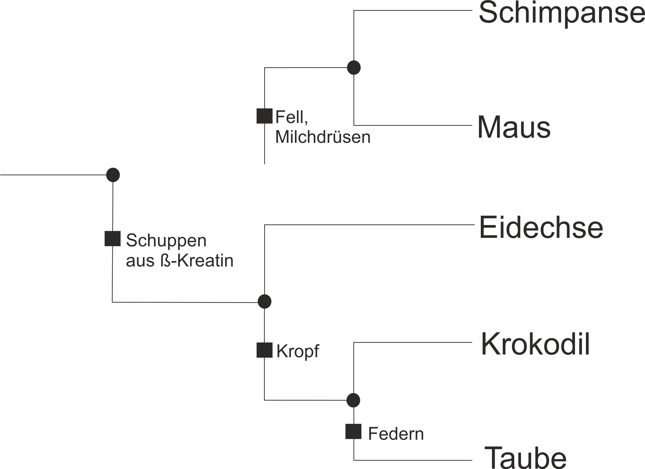 Stammbaum5Arten1 fehlt