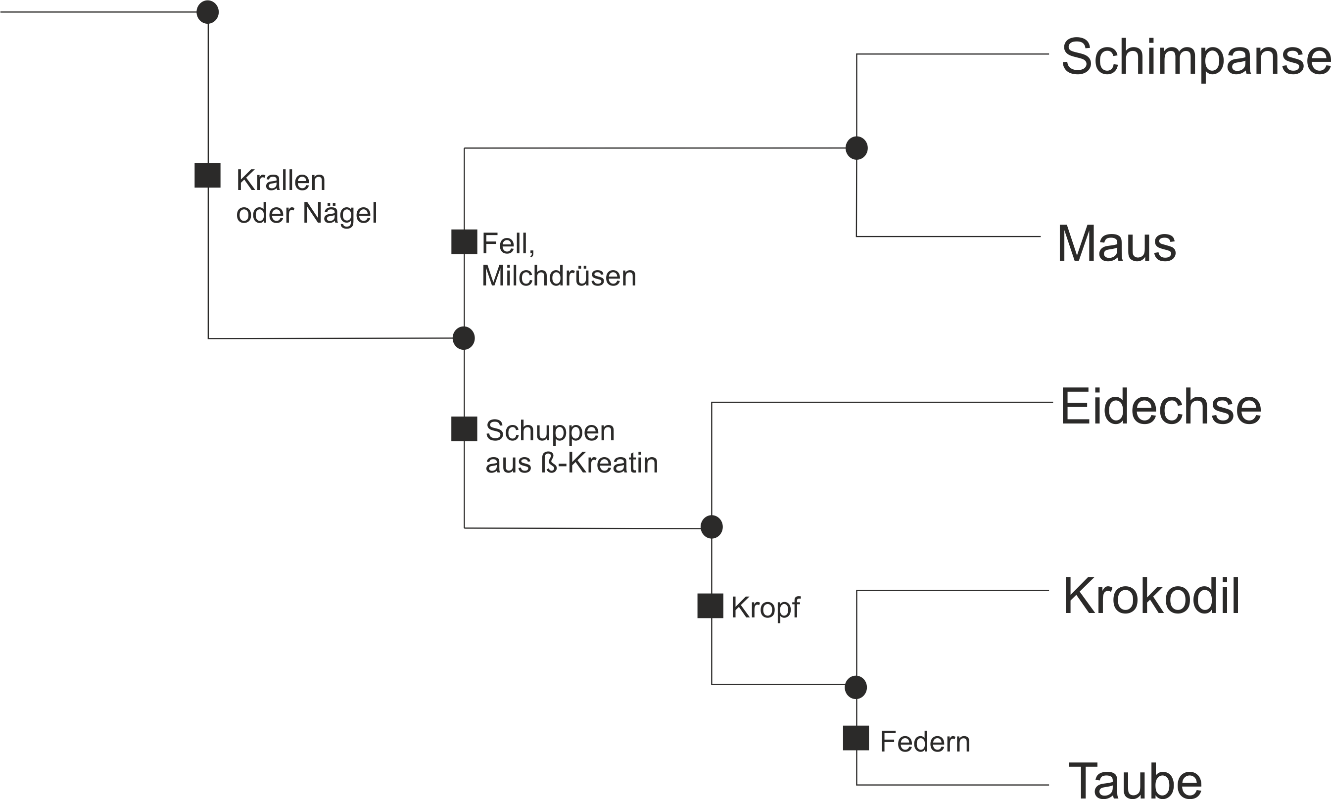 Stammbaum5Arten3 fehlt