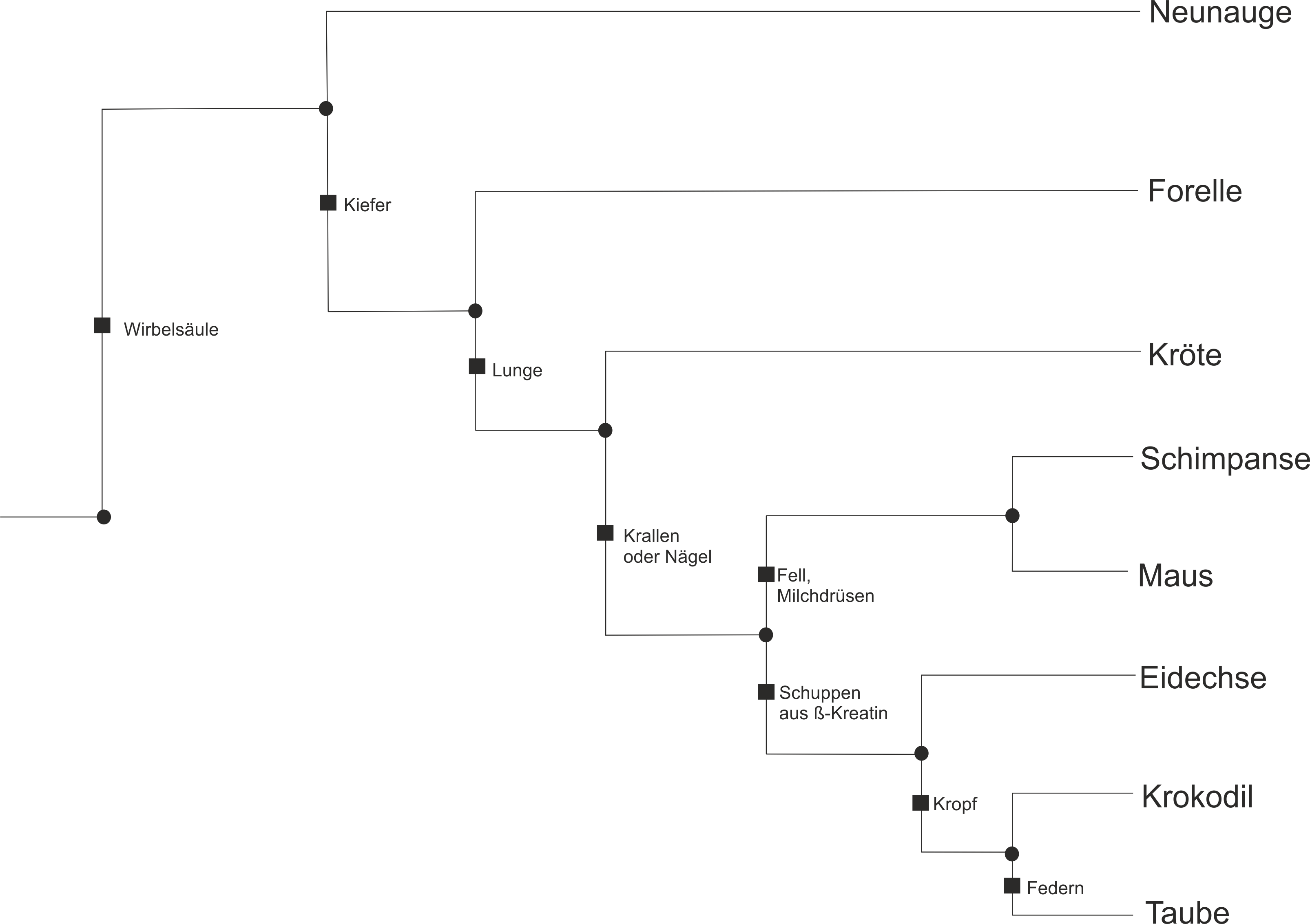 Stammbaum8Arten fehlt