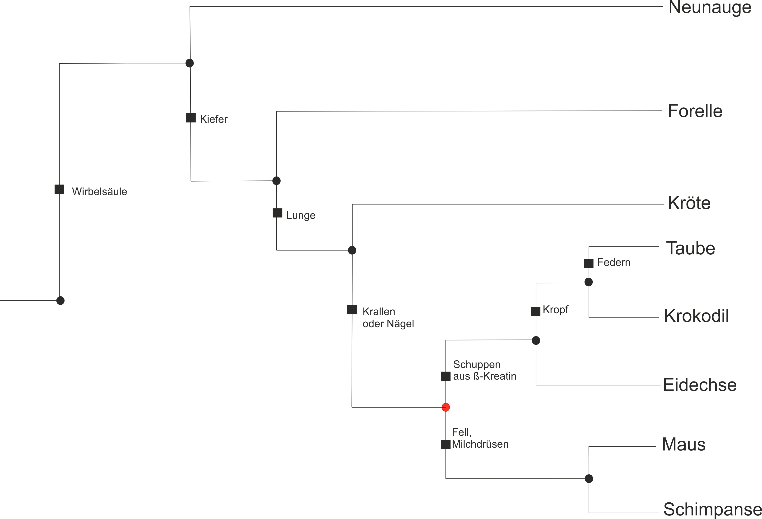 Stammbaum8Arten2 fehlt