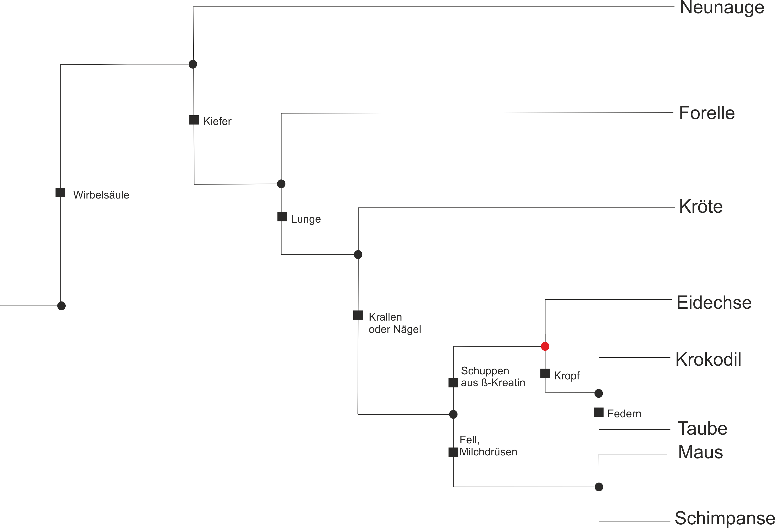 Stammbaum8Arten3 fehlt